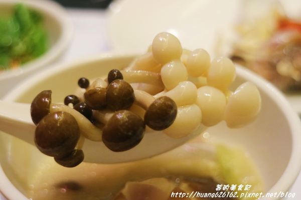 淘鮮鍋物:【新北新店區】超鮮養生鍋『淘鮮鍋物』羊肉鍋/海陸鍋/捷運大坪林~