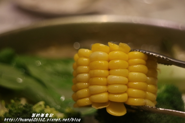 淘鮮鍋物:【新北新店區】超鮮養生鍋『淘鮮鍋物』羊肉鍋/海陸鍋/捷運大坪林~