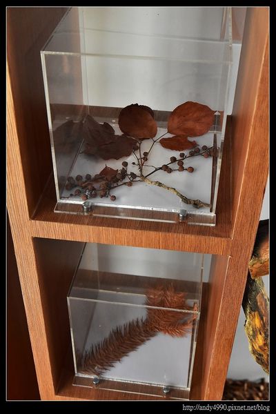 20160211南澳原生植物園區10