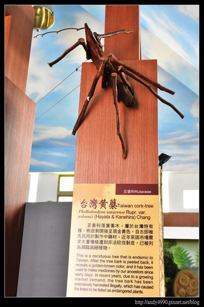 20160211南澳原生植物園區2