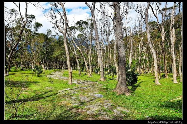20160211南澳原生植物園區5