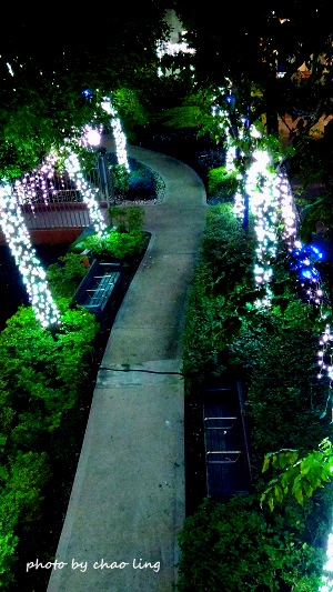 2016歡樂耶誕城-32.jpg - 燦爛耶誕夜景