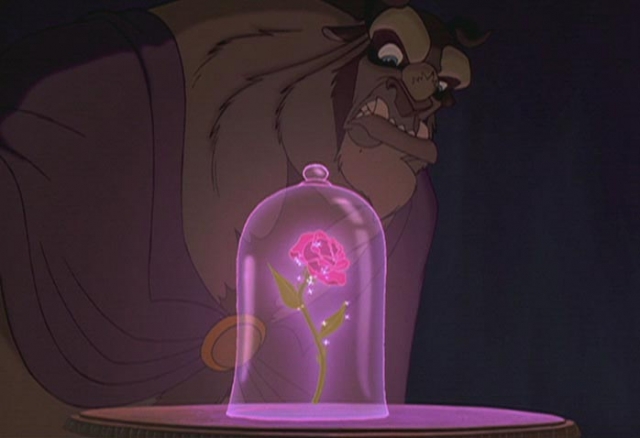 「美女與野獸 玫瑰燈」的圖片搜尋結果