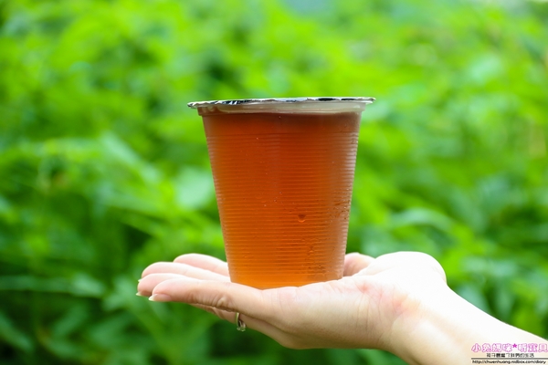 恩典號行動早餐車:【早餐推薦】☼恩典號行動早餐車☼龍眼木碳現烤吐司,口感香酥,人氣花生豬排吐司、蘋果雞肉吐司好好吃呀!♥♥