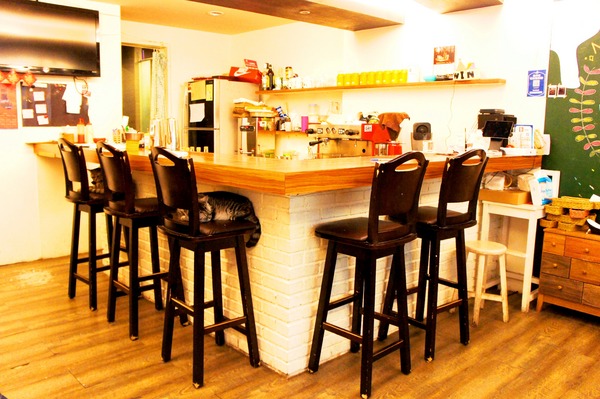 貓咪先生的朋友:貓咪先生的朋友