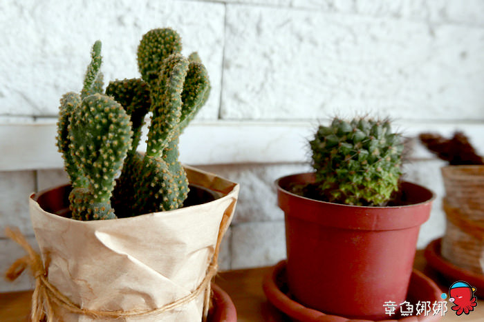 nEO_IMG_nEO_IMG_P1000947