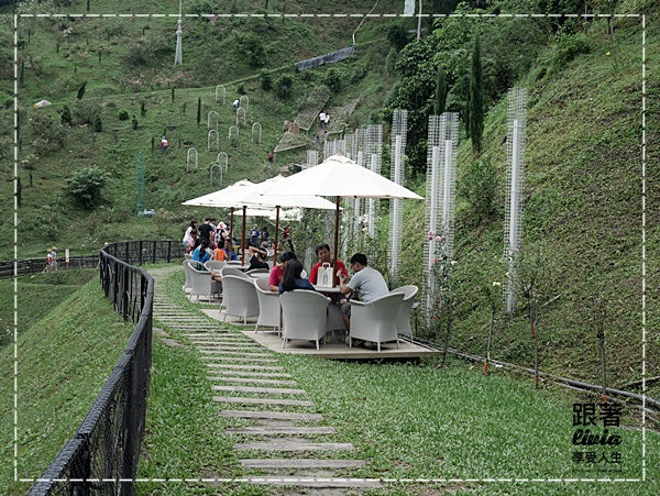 1108-雅聞七里香玫瑰森林 (12)