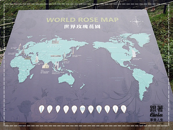 1108-雅聞七里香玫瑰森林 (26)