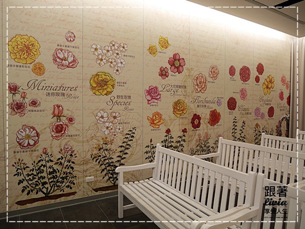 1108-雅聞七里香玫瑰森林 (16)