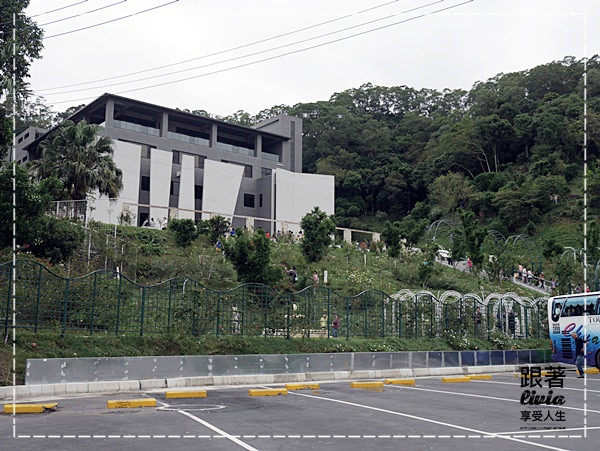 1108-雅聞七里香玫瑰森林 (1)