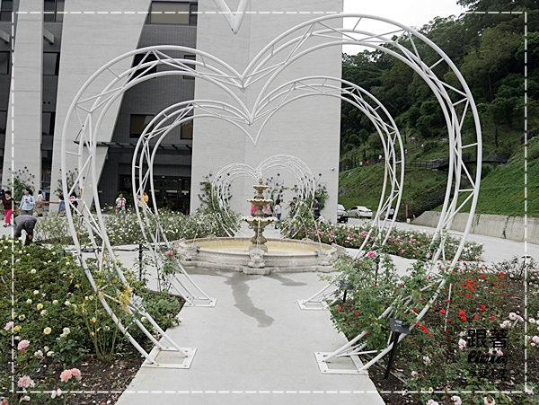 1108-雅聞七里香玫瑰森林 (9)