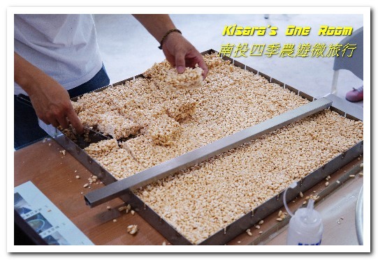 國姓鄉福龜村:繞著南投跑.四季農遊微旅行.之一/國姓咖啡與冷泉米、糯米橋、茄苳神木