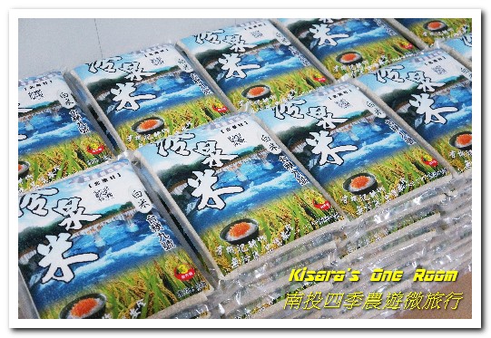 國姓鄉福龜村:繞著南投跑.四季農遊微旅行.之一/國姓咖啡與冷泉米、糯米橋、茄苳神木