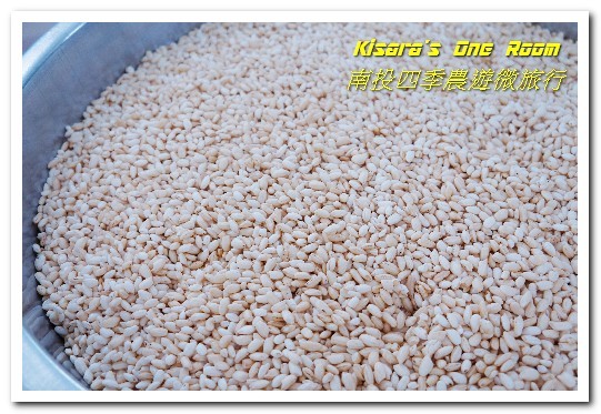 國姓鄉福龜村:繞著南投跑.四季農遊微旅行.之一/國姓咖啡與冷泉米、糯米橋、茄苳神木