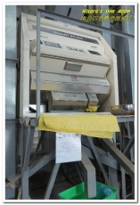 國姓鄉福龜村:繞著南投跑.四季農遊微旅行.之一/國姓咖啡與冷泉米、糯米橋、茄苳神木