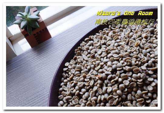 國姓鄉福龜村:繞著南投跑.四季農遊微旅行.之一/國姓咖啡與冷泉米、糯米橋、茄苳神木