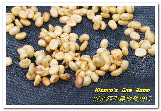 國姓鄉福龜村:繞著南投跑.四季農遊微旅行.之一/國姓咖啡與冷泉米、糯米橋、茄苳神木