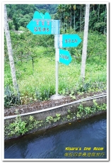 國姓鄉福龜村:繞著南投跑.四季農遊微旅行.之一/國姓咖啡與冷泉米、糯米橋、茄苳神木