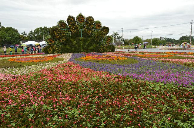 2016新社花海10