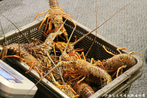 大江戶町活海鮮鐵板燒:台中小三井『大江戶町活海鮮鐵板燒』超高CP值美食/漁市鐵板燒