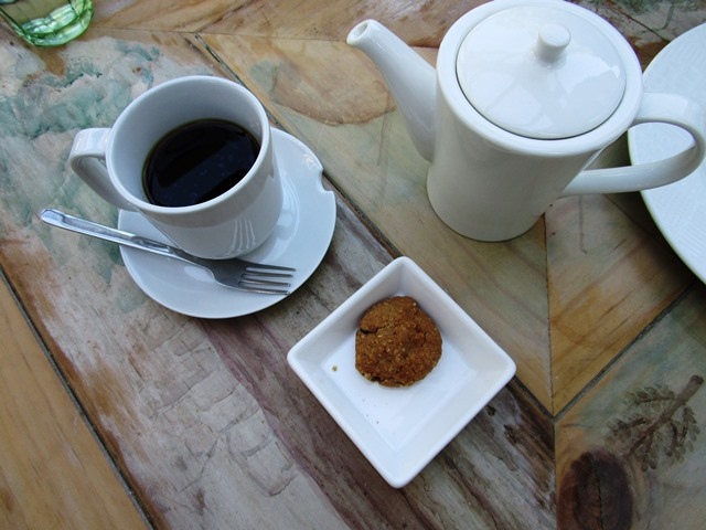 2016-11-17草山玉溪 190.JPG