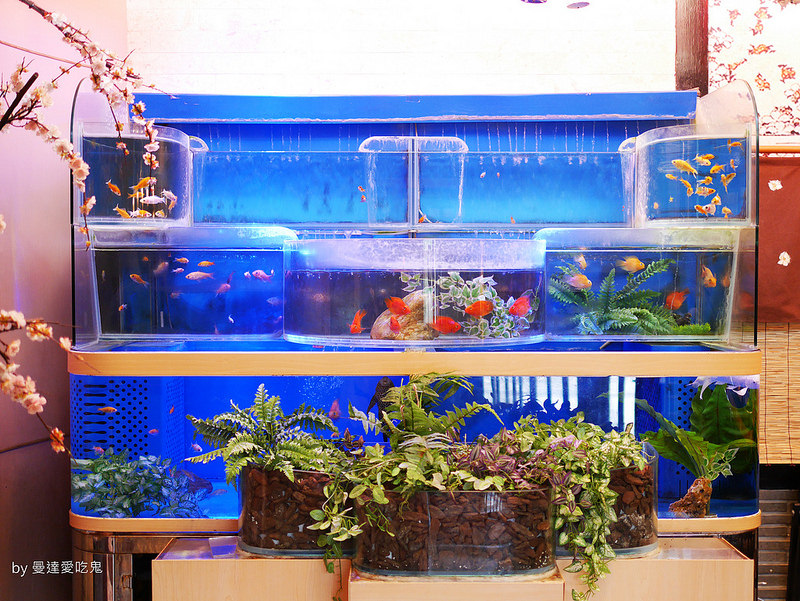 東咔滋日式定食屋 (7)