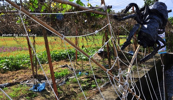 2016蘆竹花彩節-15.JPG - 2016秋之豔