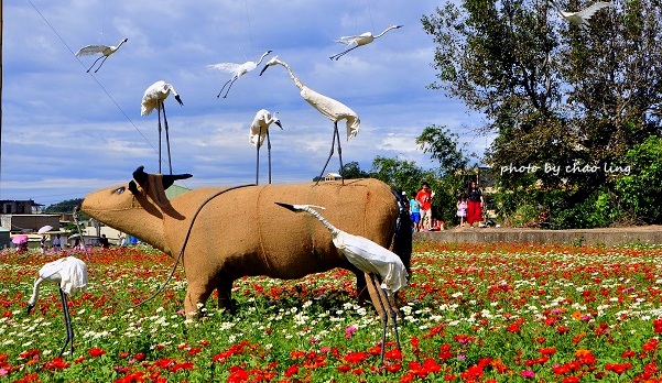 2016蘆竹花彩節-2.JPG - 2016秋之豔