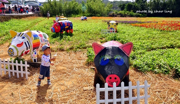 2016蘆竹花彩節-8.JPG - 2016秋之豔