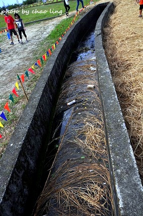 2016蘆竹花彩節-32.JPG - 2016秋之豔