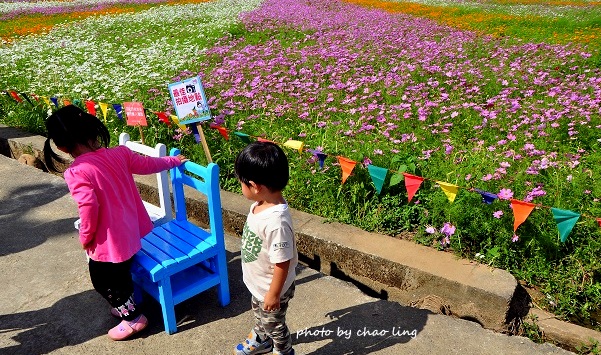 2016蘆竹花彩節-18.JPG - 2016秋之豔