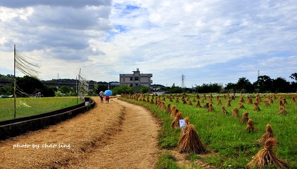 2016蘆竹花彩節-38.JPG - 2016秋之豔