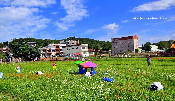 2016蘆竹花彩節-6.JPG - 2016秋之豔