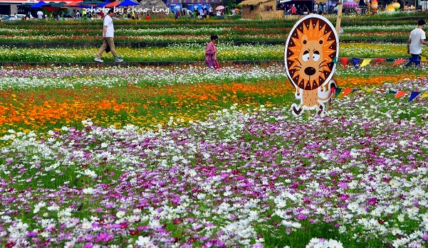 2016蘆竹花彩節-25.JPG - 2016秋之豔