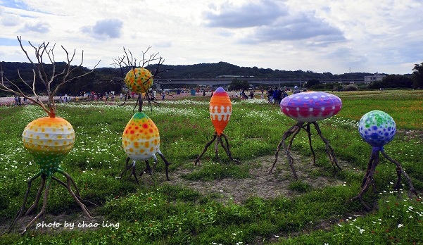 2016蘆竹花彩節-55.JPG - 2016秋之豔