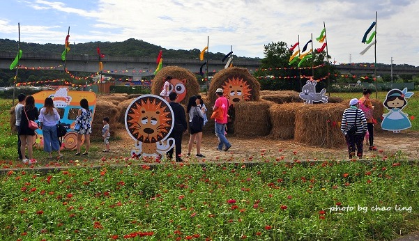 2016蘆竹花彩節-34.JPG - 2016秋之豔