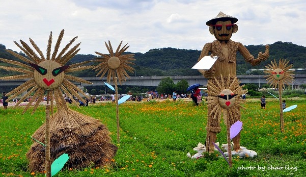 2016蘆竹花彩節-47.JPG - 2016秋之豔