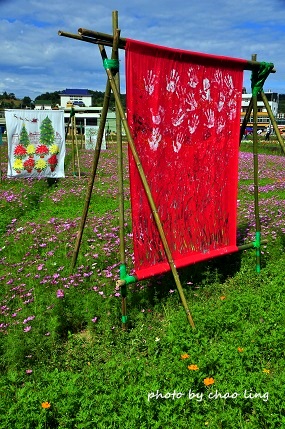 2016蘆竹花彩節-21.JPG - 2016秋之豔