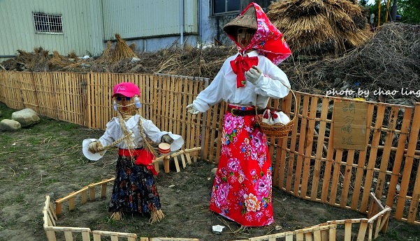 2016蘆竹花彩節-41.JPG - 2016秋之豔