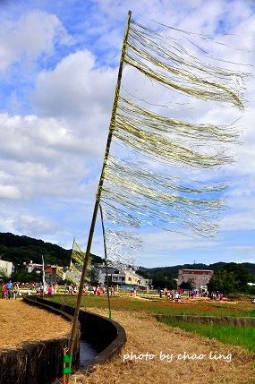 2016蘆竹花彩節-37.JPG - 2016秋之豔