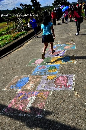 2016蘆竹花彩節-14.JPG - 2016秋之豔