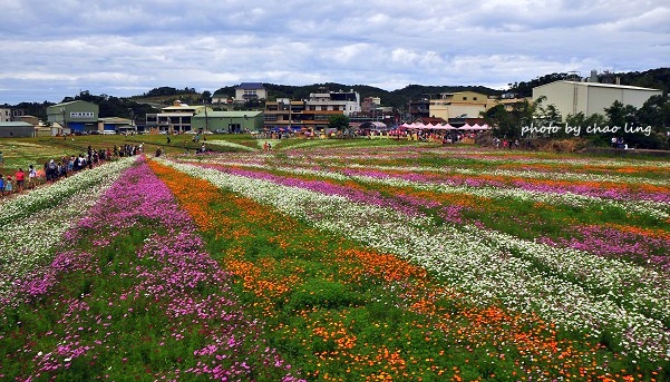 2016蘆竹花彩節-63.JPG - 2016秋之豔