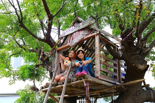 晴心樹屋：【新竹景點】戰車公園內的晴心樹屋~IG熱門打卡景點小小的祕密基地，真的小小的，千萬不要來喔^^