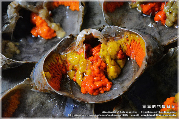 中樺水產行:【高雄】三民區。中樺水產行《超級爆蛋蛋的紅蟳!》