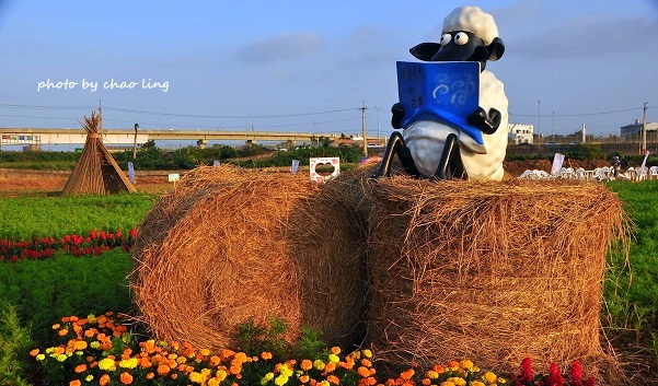 2016桃園花彩節(中壢)-1.JPG - 2016秋之豔