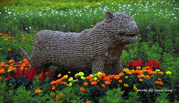 2016桃園花彩節(中壢)-14.JPG - 2016秋之豔