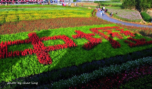 2016桃園花彩節(中壢)-2.JPG - 2016秋之豔