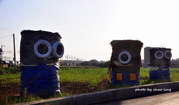 2016桃園花彩節(中壢)-4.JPG - 2016秋之豔