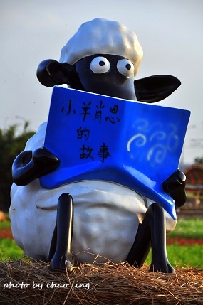 2016桃園花彩節(中壢)-34.JPG - 2016秋之豔