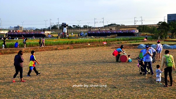 2016桃園花彩節(中壢)-45.JPG - 2016秋之豔